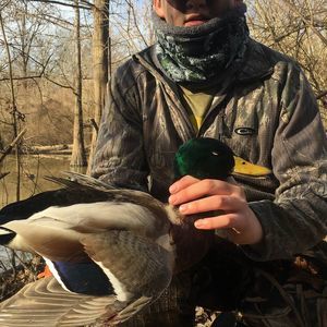 Meet your Posher, Alex